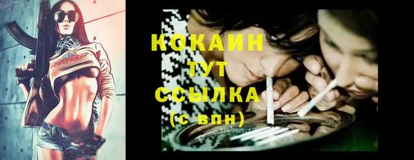 крисы Аркадак