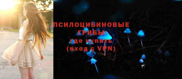 2c-b Армянск