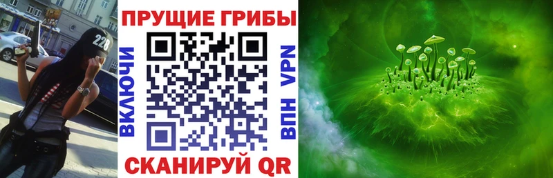 Псилоцибиновые грибы мухоморы  mega ТОР  Пыталово 